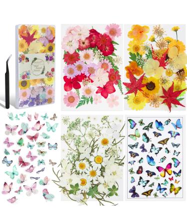 185 Pcs Dried Pressed Flowers for Resin Natural Dry Flowers for Resin Accessories Candle DIY Decor Scrapbooking Papermaking Supplies Craft Making Come with A Plastic Case & Printed Butterflies Yellow