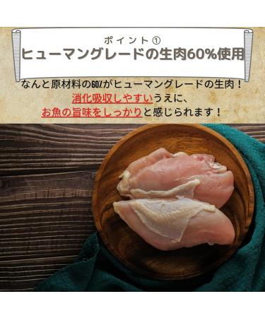 CARNILOVE CANINE ADULT TRUE FRESH PAVO 1 4KG - Buy Online on GoSupps.com