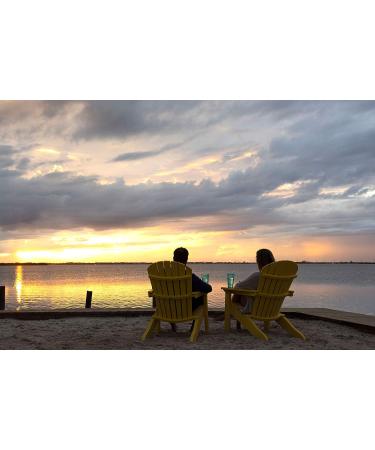 Australian Gold After Sun Moisturizer with Hemp Seed Oil 16 oz - Enriched with Vitamins A, E, and C - Lightweight Formula, Quick Drying, No Dyes, Paba, or Alcohol - Buy Online on GoSupps.com