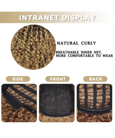 Xinran 14 Blonde Curly Afro Wig for Black Women - Brown to Blonde Mix - Synthetic 70s Kinky Afro Wig - Buy Online on GoSupps.com