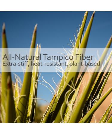 Premium Wood Nail Brush & Hand Washing Brush | Durable Fibre Cleaning Tool for Home & Travel - Buy Online on GoSupps.com