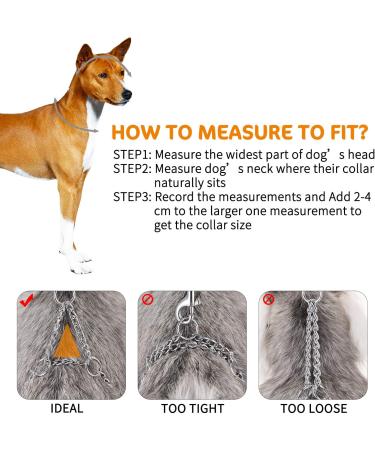 HAPPY HACHI Half Check Dog Collar | Martingale Collar for Medium to Large Dogs | Training and Walking Collar | Silver, Size S 30-43cm - Buy Online on GoSupps.com