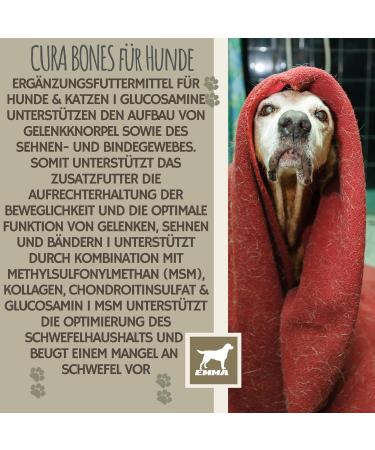 Dogs MSM 150Gr Joint Powder Dog with Glucosamine Chondroitin Vitamins CD K3 Calcium I for Joints & Joint Function for Joints I Joint Care MSM Powder - Buy Online on GoSupps.com