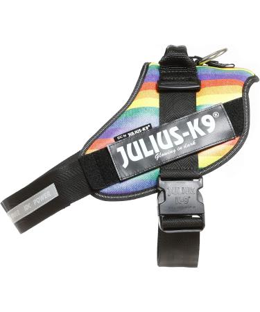Buy IDC Powerharness 2XL/3 - Rainbow Faux Leather Dog Harness for Comfortable International Shipping - Buy Online on GoSupps.com