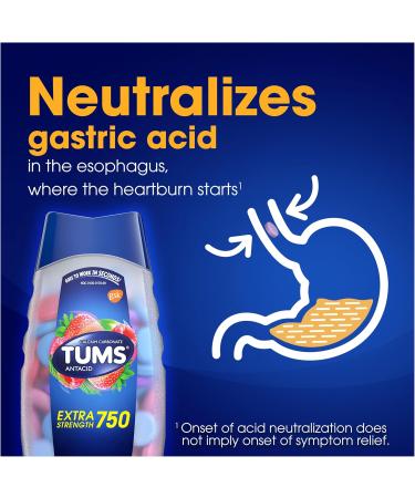 TUMS Extra Strength Antacid Tablets - Assorted Berries for Heartburn Relief | 8 Count Roll - Fast Shipping Worldwide - Buy Online on GoSupps.com
