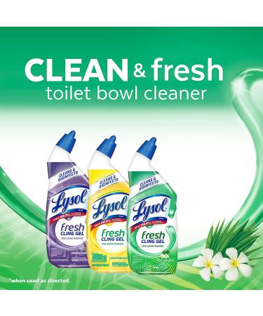 Lysol Toilet Bowl Cleaner Gel - Forest Rain Scent, 24oz | Disinfectant, Stain Remover for Effective Cleaning - Buy Online on GoSupps.com