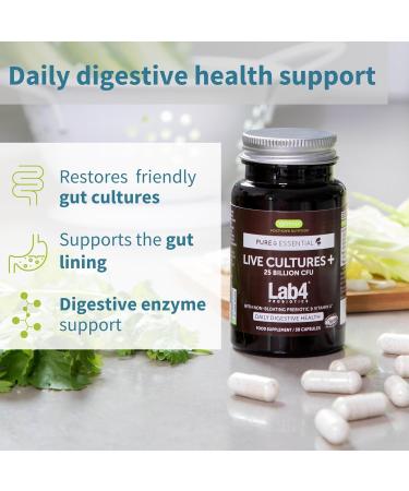 25 Billion CFU Live Cultures Probiotic & Prebiotic Supplement for Gut Health | Bloating Relief | Lactobacillus Acidophilus & Bifidobacterium | Vegan | 30 Capsules by Igennus - Buy Online on GoSupps.com