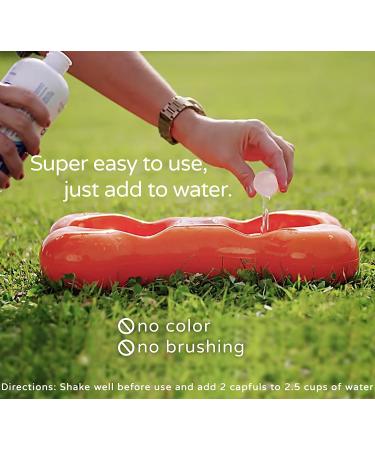 Pet Water Additive Oral Care: for Dogs & Cats Bad Breath  Dental Rinse Freshener Treats Plaque & Teeth Tartar. Dog & Cat Mouth Clean Health Treatment for Pets Drinking Bowl Chicken - Buy Online on GoSupps.com