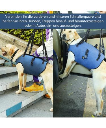COODEO XL Dog Harness - Padded Breathable Support & Rehabilitation Belt for Pets with Joint Injuries | Adjustable Lifting Straps (Blue) - Buy Online on GoSupps.com