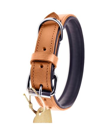 Sniffing fans collar for dogs made of leather dog collar for the large medium and small dog leather collar padded robust (m - 28-36cm beige) m - 28-36cm beige