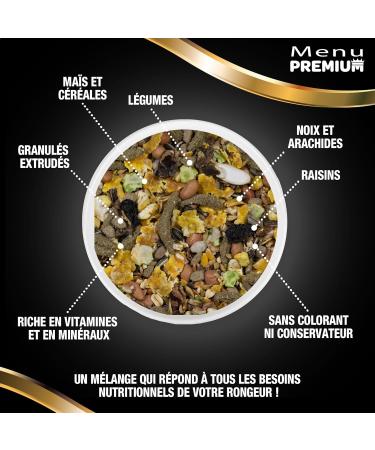 Riga - Premium Menu for Granivorous Rodents - Mix of Seeds Cereals Vegetables Fruits and Nuts - Tri-Nutrition Concept - Ri - Buy Online on GoSupps.com