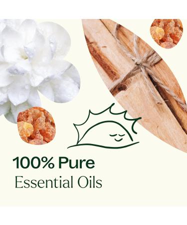 Plant Therapy Chakra Essential Oil Blends Complete Roll-On Set 100% Pure Pre-Diluted Aromatherapy for Chakra Balance & Self-Care Chakra 2.02 Fl Oz (Pack of 1) - Buy Online on GoSupps.com