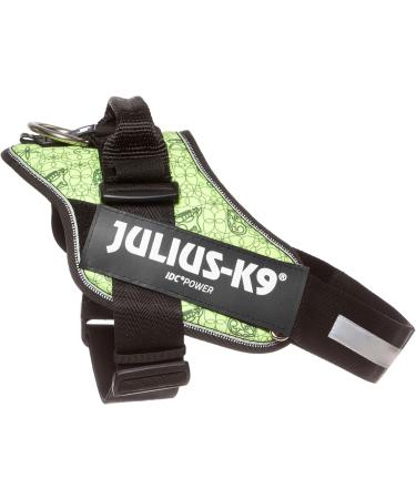 IDC Powerharness L/1 - Ancient Symbols of the Huns | Premium International Shipping - Buy Online on GoSupps.com