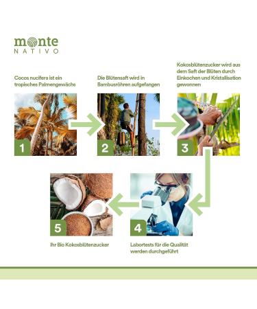Organic Coconut Blossom Sugar 1kg - Vegan Gluten-Free Natural Sugar Replacement | Monte Nativo | Perfect for Baking | Certified Organic Coconut Sugar - Buy Online on GoSupps.com