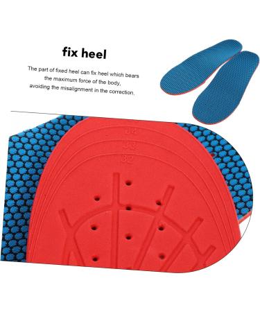 3pcs Blue Orthotic Shoe Insoles - Arch Support Inserts for Foot Pain Relief | International Shipping Available - Buy Online on GoSupps.com