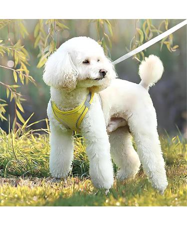 Buy Giapinst No Pull Dog Harness for Small Dogs | Adjustable & Breathable XS Dog Harness in Yellow & Gray - Buy Online on GoSupps.com