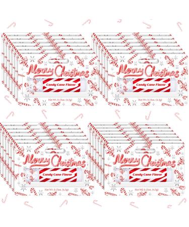 25 Pack Christmas Peppermint Flavor Lip Balms Gifts Bulk Christmas Party Stocking Stuffers Small Thank You Appreciation Gifts for Women Men Staff Coworkers Employee Homeless Candy Cane 25