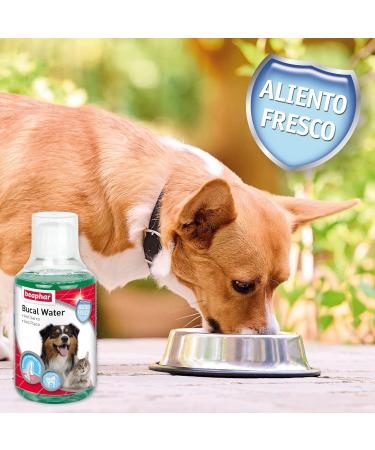 Behark Buccal Water Dog and Cat 250ml - Buy Online on GoSupps.com