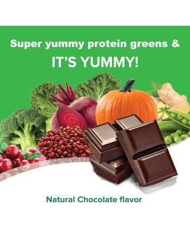 Active Green Pro - Fermented Proteins & Greens - Plant Based Organic Vegan Protein for your improved gut health 20g Protein Sugar Free Low Fats and Carbs Yummy Natural Chocolate Flavour 520g - Buy Online on GoSupps.com