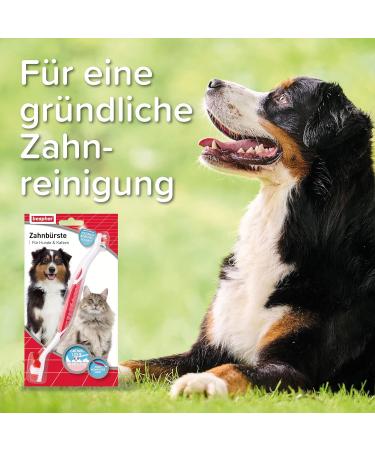 Beaphar Dog & Cat Toothbrush - Double Head Ergonomic Grip Special Bristle Cut for Effective Dental Cleaning - Buy Online on GoSupps.com