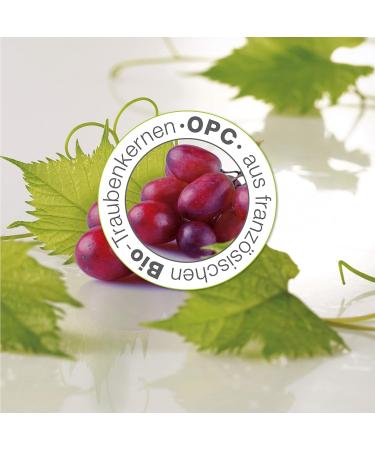  Eco Cosmetics eco cosmetics Bio CC Dark Tinted Day Cream with OPC Q10 and Hyaluronic Acid Vegan Anti-Wrinkle SPF 30 1 x 50 ml - Buy Online on GoSupps.com