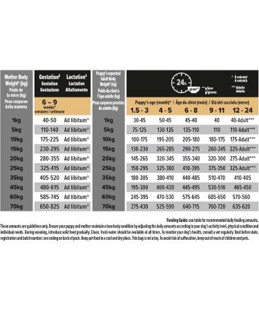 PRO PLAN Medium Puppy Sensitive Skin Rich in Salmon - 12 kg - Dry Food for Medium Puppies with Sensitive Skin - Buy Online on GoSupps.com