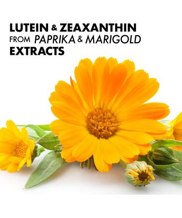 Bluebonnet Nutrition Zeaxanthin Plus Lutein - 60 Softgels for Eye Health - Buy Online on GoSupps.com