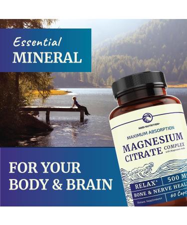 Magnesium Glycinate 400mg (120ct) & Magnesium Citrate 500 MG (60ct) | High Absorption Calm Relaxation Digestion & Muscle Support | Non-GMO Vitamin and Mineral Bundle - Buy Online on GoSupps.com