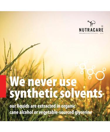 Buy Passiflora Q Homeopathic Mother Tincture - Passionflower (2.0 Fl Oz) | International Shipping from USA - Buy Online on GoSupps.com