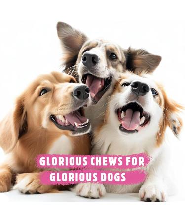 Premium Bully Sticks for Dogs - All-Natural Beef Pizzle Sticks for Puppies to Medium Dogs Dental Chew Treats for Healthy Teeth and Gums Fully Digestible Gluten-Free (Thin 12-15 cm 250gr) Thin-Regular 15 count (Pack of 1) - Buy Online on GoSupps.com