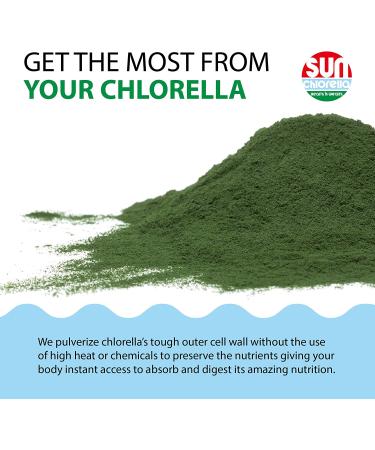 Sun Chlorella Powder - Green Algae Superfood for Immunity, Gut Health & Energy | Non-GMO | 30 Packets - Buy Online on GoSupps.com