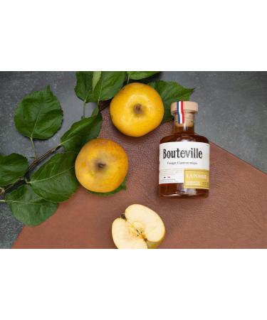 Bouteville Gastronomic Vinegar La Pomme 200 ml Apple Cider Vinegar Belchard Charentaises Refined in Oak and Chestnut Barre - Buy Online on GoSupps.com