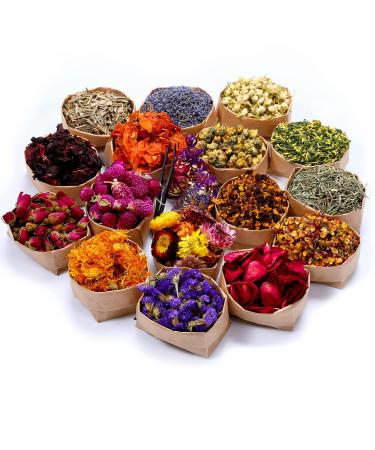 16 Bags Dried Flowers 100% Natural Dried Flowers Herbs Kit for Soap Making  DIY Candle Making Bath - Include Rose Petals Lavender Don't Forget Me Lilium Jasmine Rosebudsand More 16 Bags*10g - Buy Online on GoSupps.com