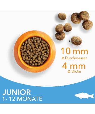 IAMS Junior Dry Cat Food with Fish - 10 kg for Kittens (1-12 Months) | Premium Nutrition for Healthy Growth - Buy Online on GoSupps.com