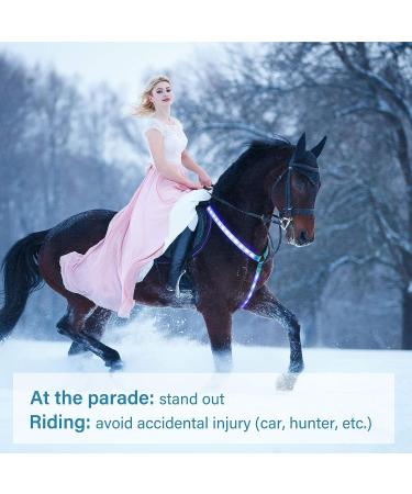 Frienda LED Light Horse Breastplate Collar - Adjustable Visibility Tack with 3 D-Ring, 3 Lighting Modes - Equestrian Safety Gear for Night Riding - Blue (1 Piece) - Buy Online on GoSupps.com