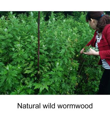 Buy Moxibustion Cream - Angrek 200g | Chinese Herbal Health Foam for Massage & Relaxation - Buy Online on GoSupps.com