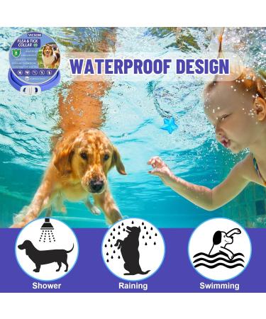 VICSOM Plant-Based Dog Collar Repellent for Small, Medium, Large Dogs - 8 Months Protection - Strong Repellency - Pleasant Aroma - Blue (2 Pack) - Buy Online on GoSupps.com