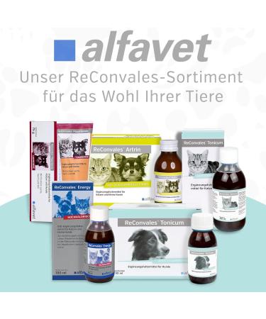 alfavet ReConvales Tonicum Cat Dietary Food Supplement Stimulating the Appetite for Convalescence and in Cases of Underweight 3 x 45 ML - Buy Online on GoSupps.com
