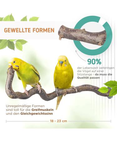 Buy Bird Gallery Natural Wood Perches for Budgies | Top Budgie Accessories & Bird Accessories - Buy Online on GoSupps.com
