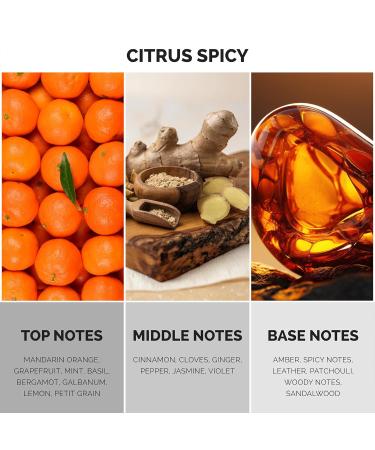 Maison de l'Avenir Avenir Triumph - Citrus Spicy - with notes of Grapefruit Mint Jasmine Violet and Amber- Unisex - Cologne for Men - Perfume for Women - Long Lasting - Fine Niche Fragrance - Buy Online on GoSupps.com