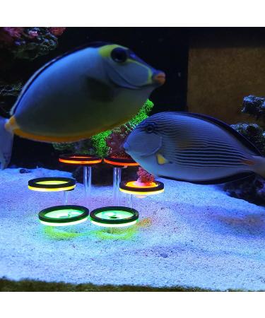 Coral Frag Rack: 6 Plug Fluorescent Holder for Marine Reef Aquarium - Cultivating Live Coral Spare Parts - Buy Online on GoSupps.com