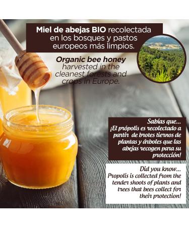 Honey with organic propolis x 400 gr. Propolis with floral aroma. Bee honey with a thousand flowers with propolis that improves defenses and has protective properties. - Buy Online on GoSupps.com