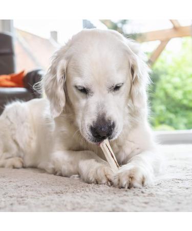 Buy 8in1 Delights Beef Sticks - Healthy Chews for Sensitive Dogs | High Quality Beef Wrapped in Beef Skin | 2 Pack (6 Sticks) - Buy Online on GoSupps.com