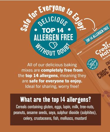 Creative Nature Gluten Free Brownie Mix - Vegan & Free From Baking Mix - 250g - Buy Online on GoSupps.com