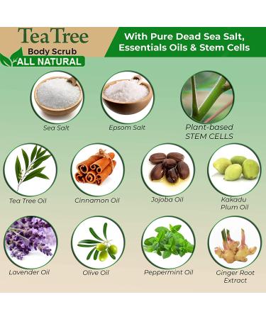 Chamuel Tea Tree Body & Foot Scrub - 100% Natural Exfoliating Scrub with Dead Sea Salt & Plant-based Stem Cells - Ginger & Essential Oils Blend for Rejuvenation & Soothing Dry Skin (15.1oz) - Buy Online on GoSupps.com