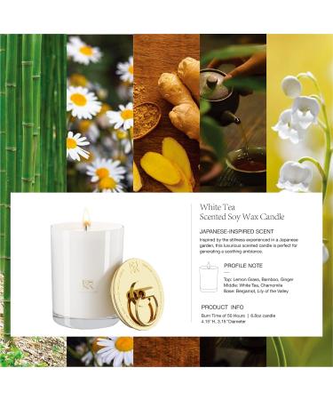 ESNA HOME Aromatherapy Scented Candles | Lavender Essential Oil | 50+ Hours Burn Time | Perfect Mother's Day Gift | Home Decor & Relaxation | 8.8oz Soy Wax Candle + Snuffer Lid - Buy Online on GoSupps.com