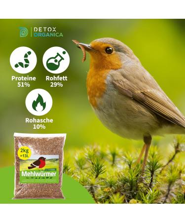Premium 2kg Dried Mealworms - High Protein Pet Food for Reptiles Birds Hedgehogs Fish & Turtles - International Shipping Available - Buy Online on GoSupps.com