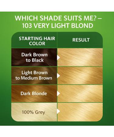 BIONDA Brilliant permanent hair color & coloring 103 very light blond 100 ml 100 gray hair coverage with argan oil nourishing oil formula intensive color shine roots & full lengths - Buy Online on GoSupps.com