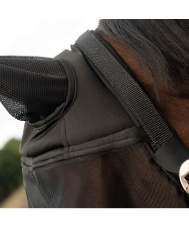 Buy Busse Fly Halter Fast Black for Warmblood - Premium Quality & International Shipping - Buy Online on GoSupps.com