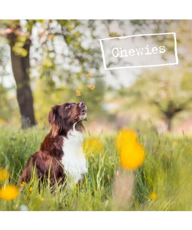 Chewies XL Deer Antler Chews for Dogs - Natural Healthy Snack - 60g | Premium Chewing Rod from Red Deer - Buy Online on GoSupps.com